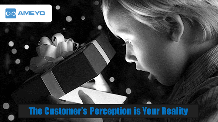 customer-perception-quote