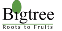 Bigtree-logo