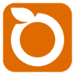 Pt.-Orange-Logo