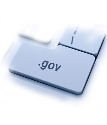 government